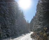 Road to Chamkoria Chalets