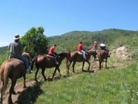 Horse Riding in Borovets
